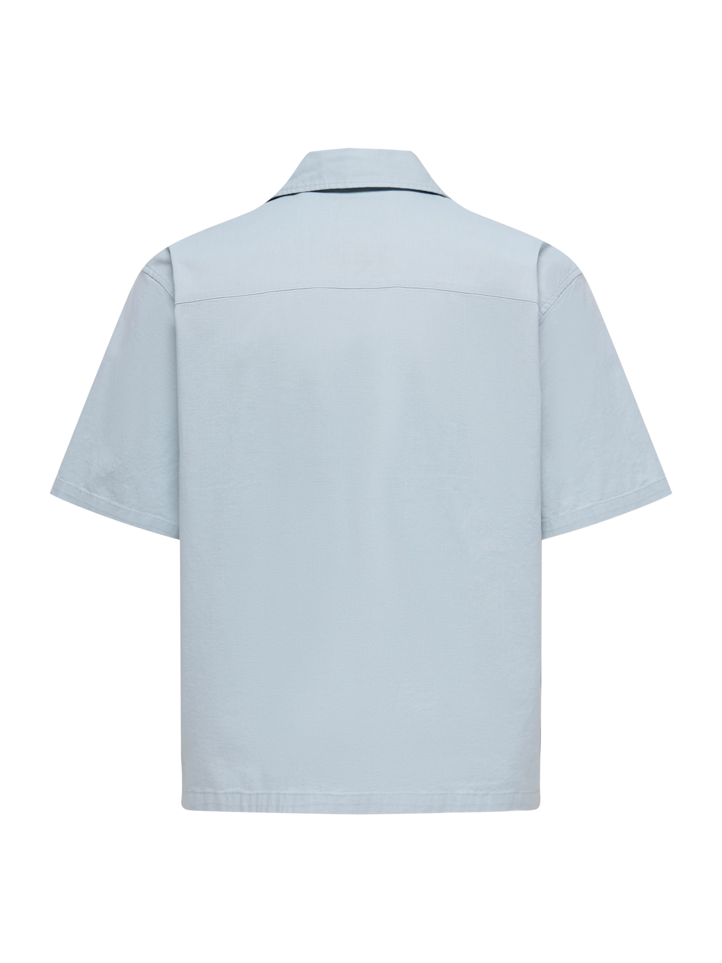 Only & Sons Comfort fit Button Up Shirt 'ONSREID' in Blue