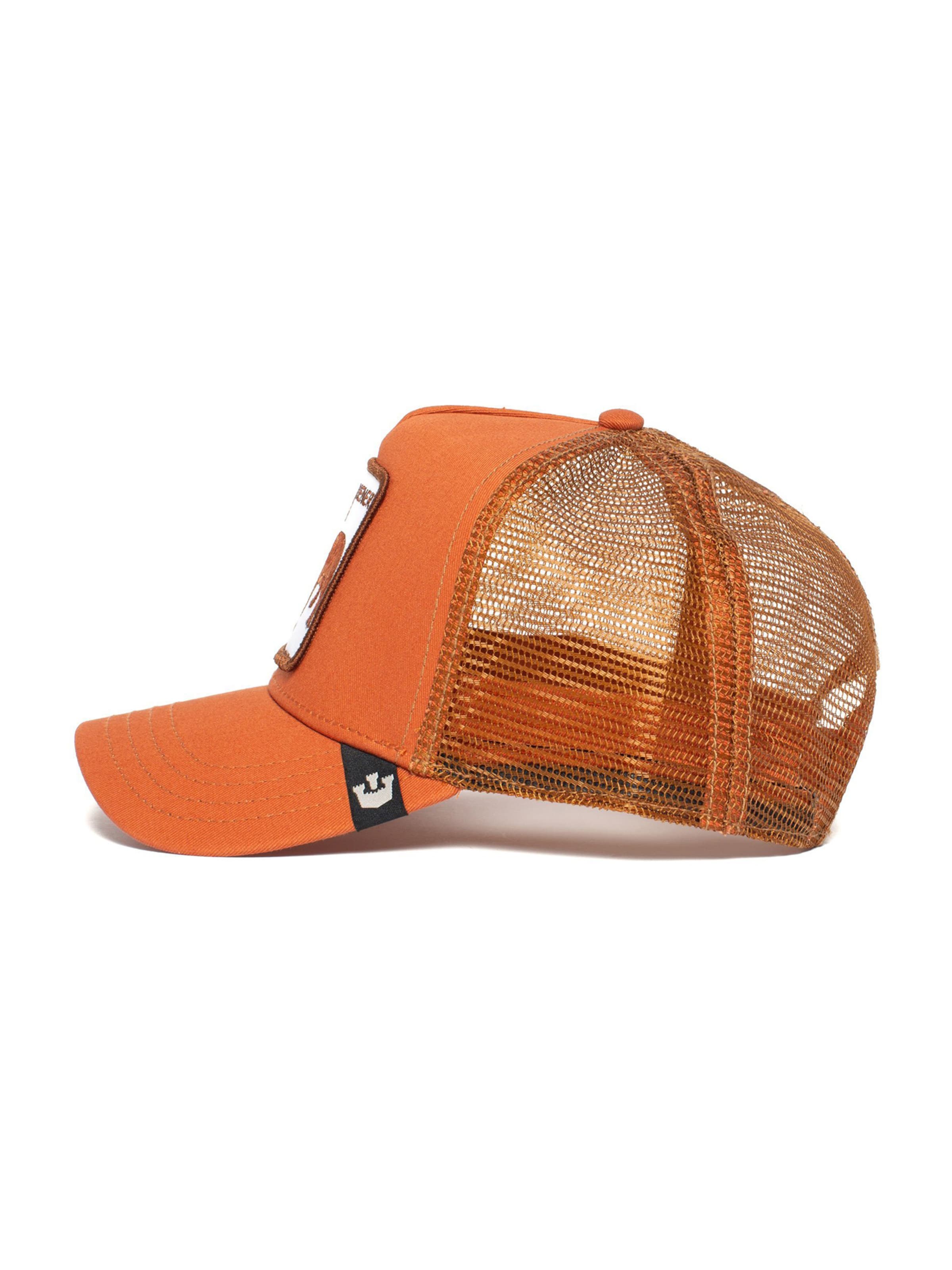 GOORIN Bros. Pet 'Wiener Dawg' in Oranje