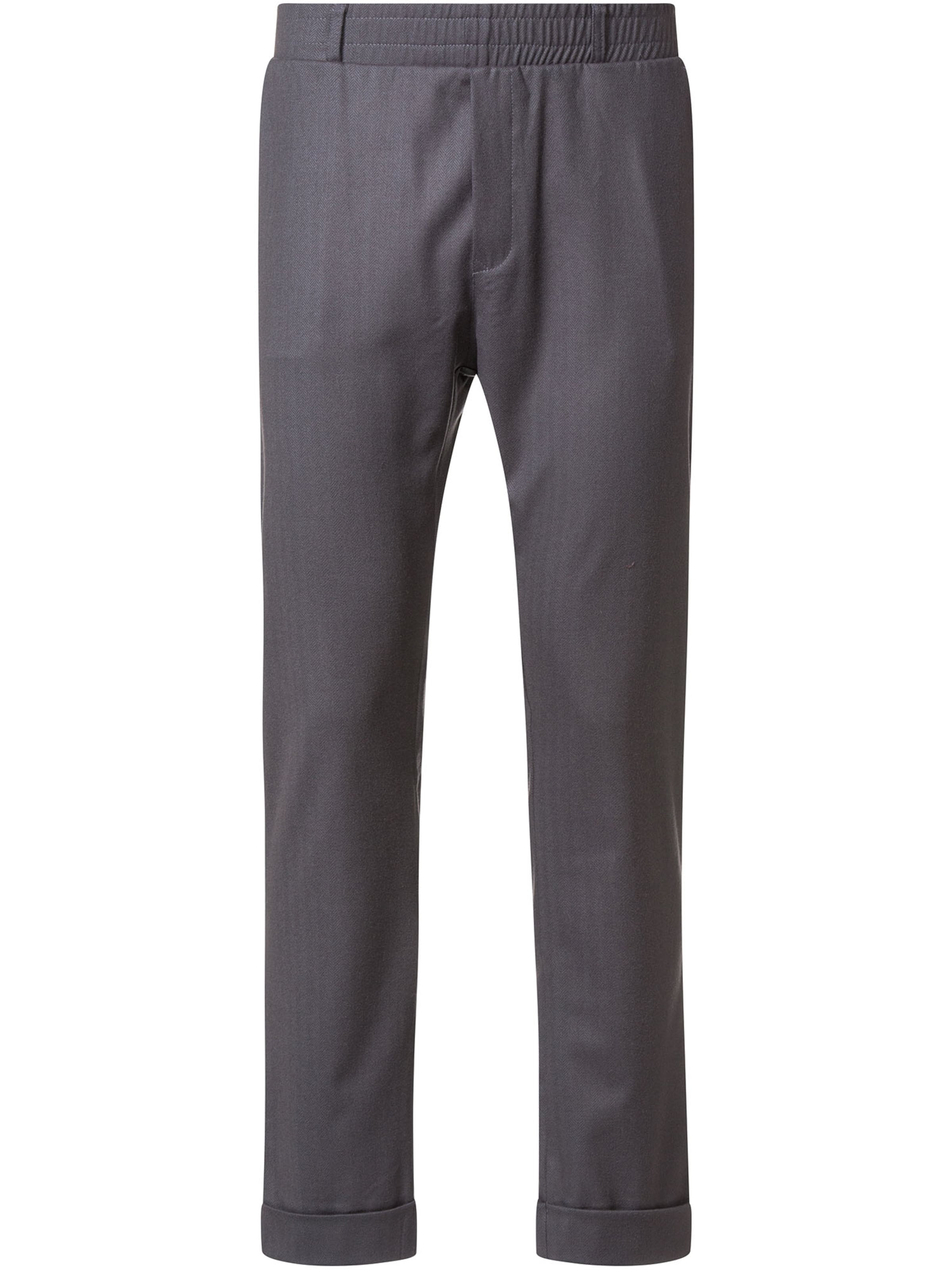 Wiederbelebt Regular Pants 'TAMMO' in Grey: front