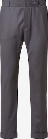 Wiederbelebt Regular Pants 'TAMMO' in Grey: front