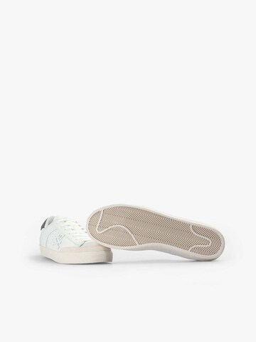 Scalpers Sneaker low 'New Gala' in Weiß