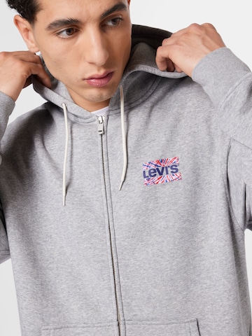 LEVI'S ® Regular fit Суичъри с качулка 'Relaxed Graphic Zipup' в сиво