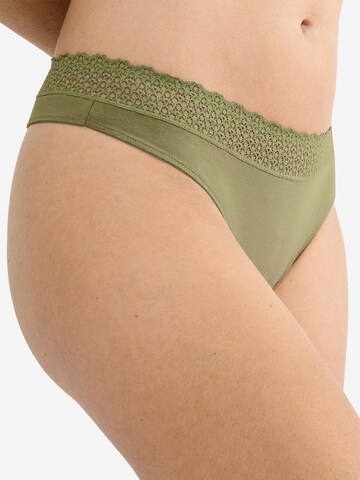 TRIUMPH String ' Red Label Feel of Modal ' in Groen