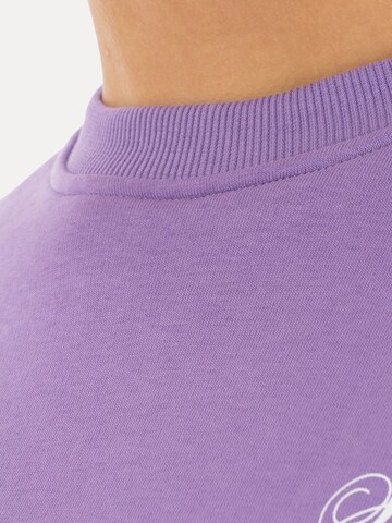 Smilodox Sweatshirt in Lila