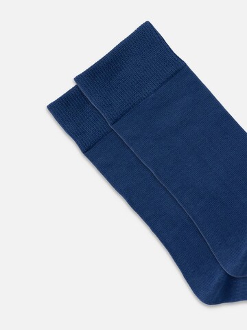 DillySocks Socks 'D-Compose 2er Set' in Blue