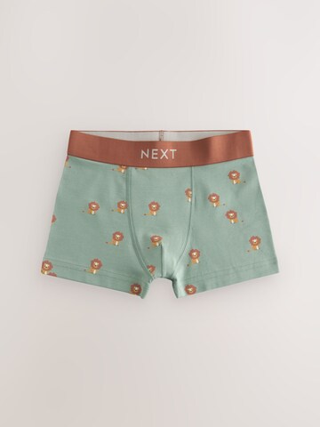 Sous-vêtements Next en bleu
