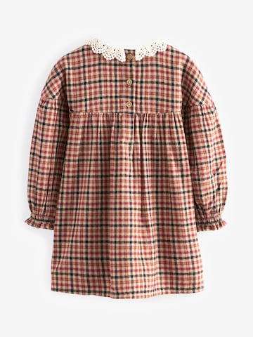 Next Kleid in Braun