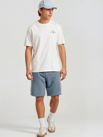 Funky Buddha Loosefit Παντελόνι σε γκρι: μπροστά