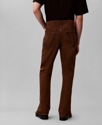 Bootcut Jean Calvin Klein Jeans en marron