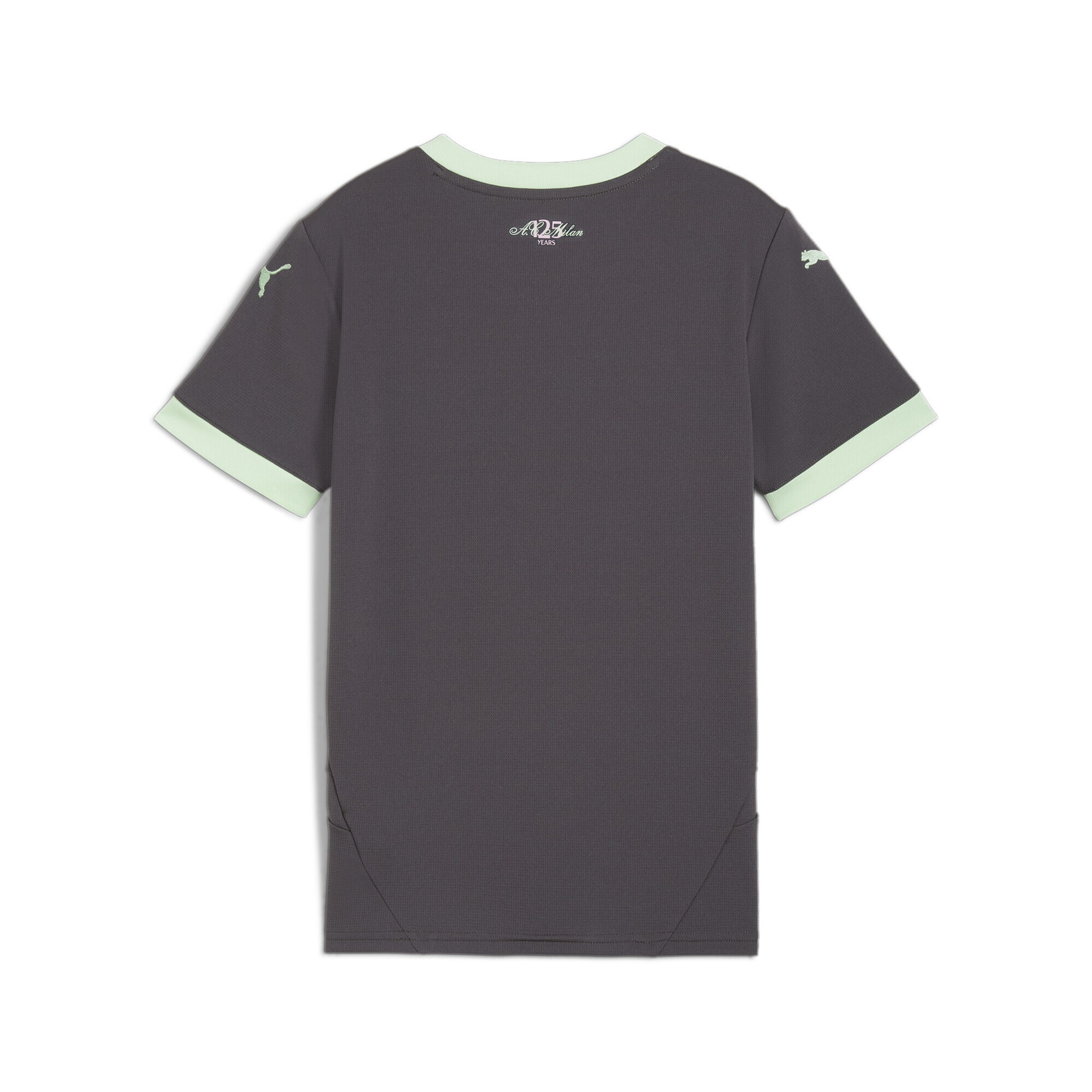 T-Shirt fonctionnel 'AC Milan 24/25' PUMA en gris