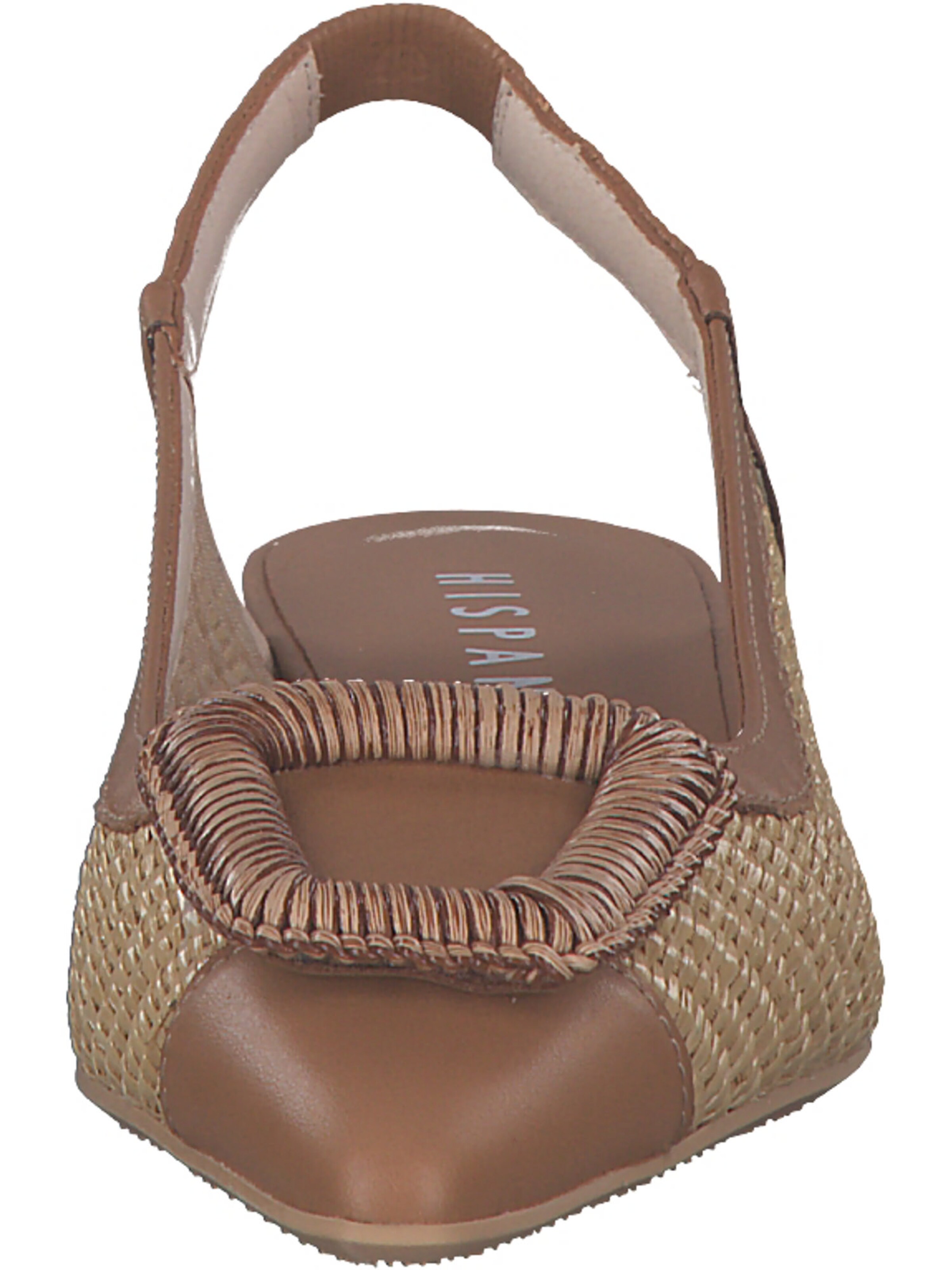 Hispanitas Ballerina 'Dali' in Bruin