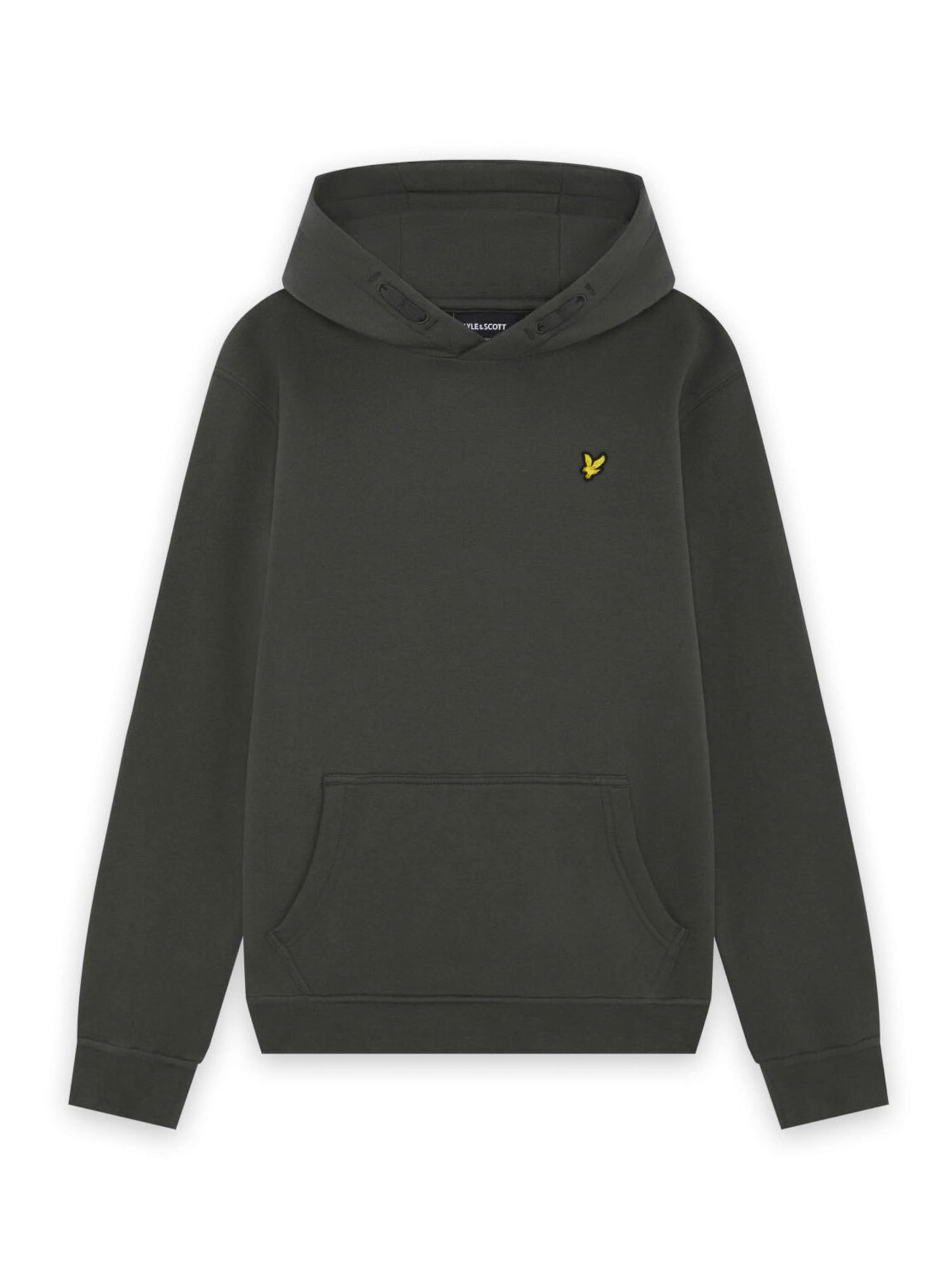 Lyle & Scott Sweatshirt in Grau: Vorderseite