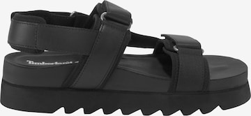 TIMBERLAND Sandals in Black