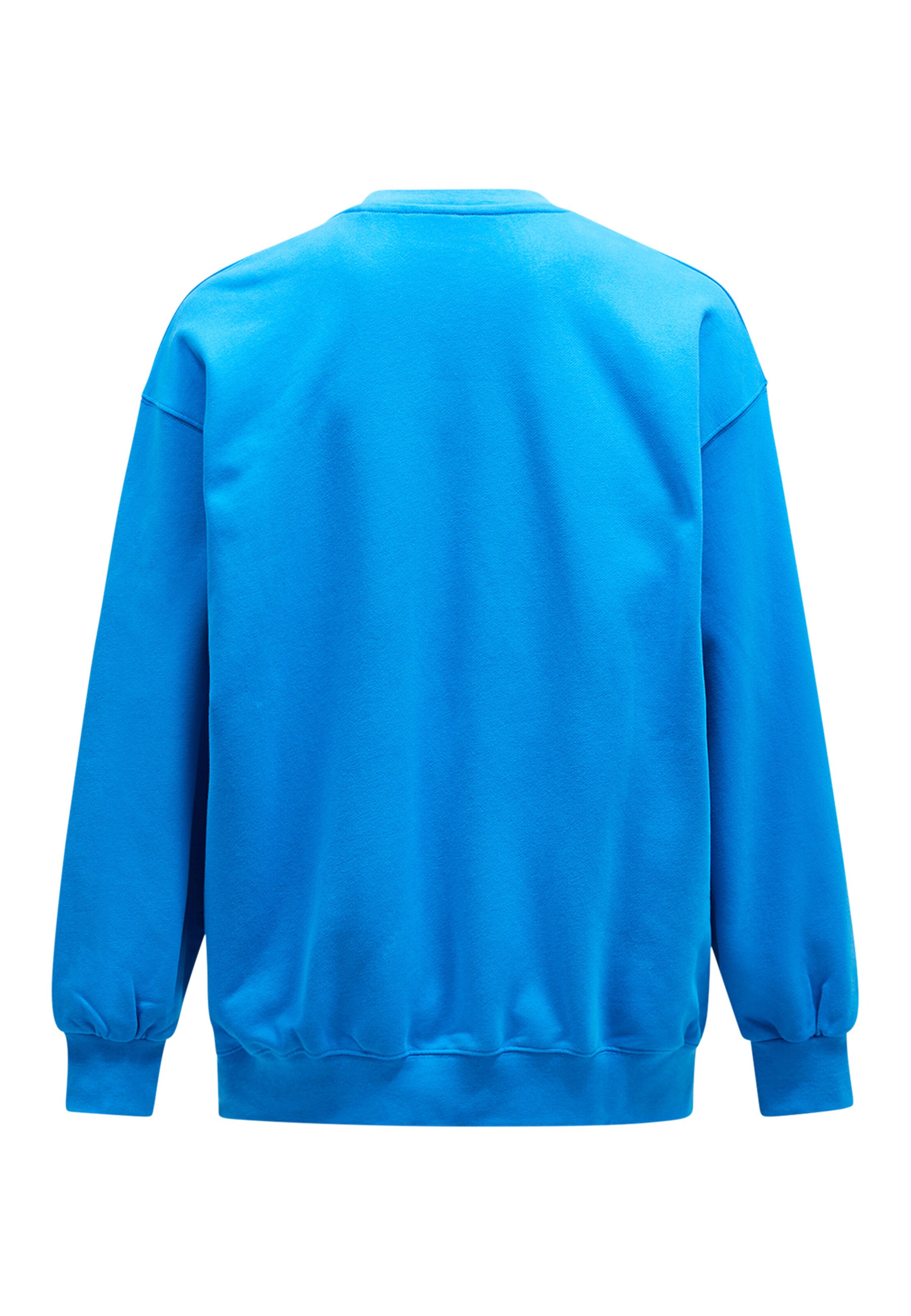 PEAK PERFORMANCE Sweatshirtpullover in Blau