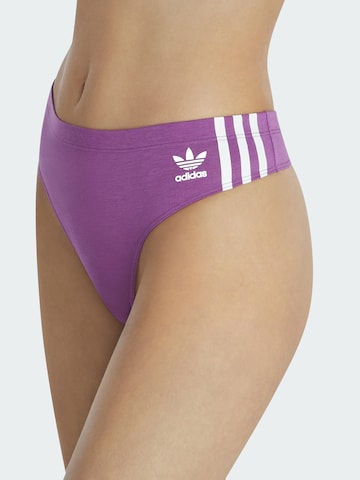 String ADIDAS ORIGINALS en violet