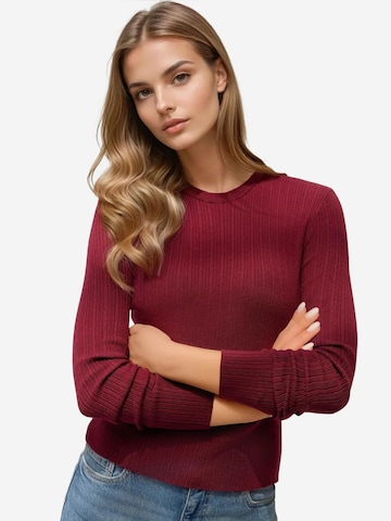 Hiccup Sweater in Red: front