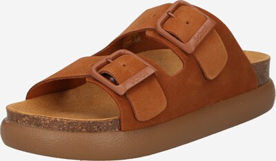 SCHOLL Sapato aberto 'NEW BOGOTA' em castanho, Vista do produto