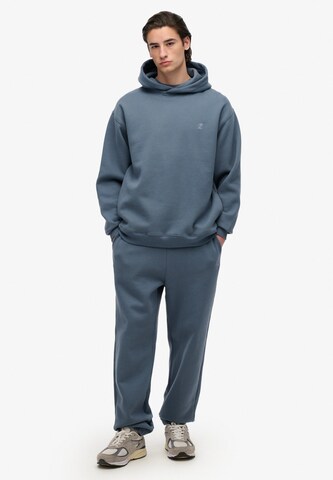 Superdry Sweatshirt in Grijs