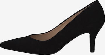 PETER KAISER Pumps in Black