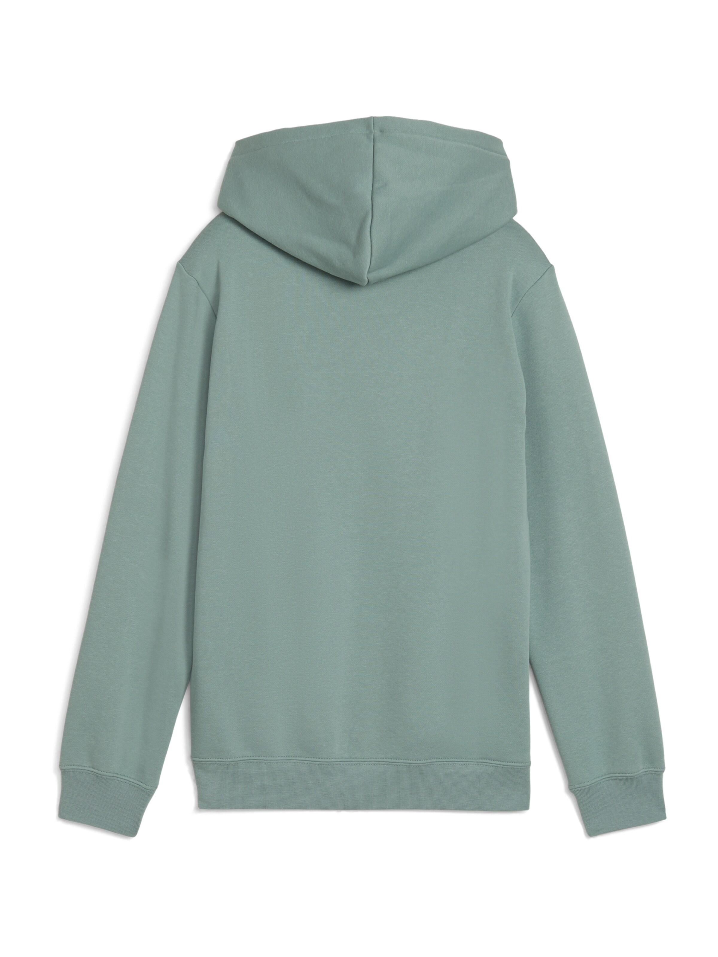 PUMA Sweatshirt 'Ess No. 1' in Grün