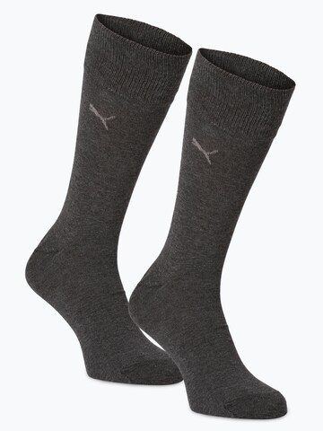 PUMA Socken in Grau