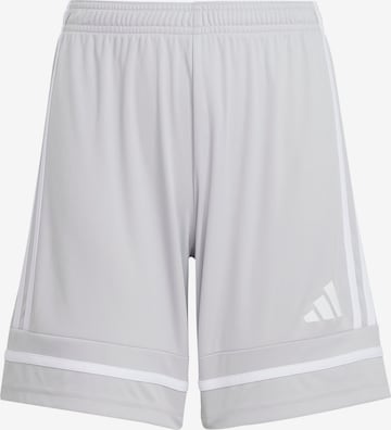 pelēks ADIDAS PERFORMANCE Sporta bikses 'Squadra 25': no priekšpuses