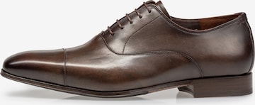Scarpa stringata 'Gilli 01' di Floris van Bommel in marrone: frontale