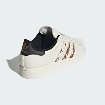 ADIDAS ORIGINALS - Sapatilhas baixas 'Superstar II' em branco