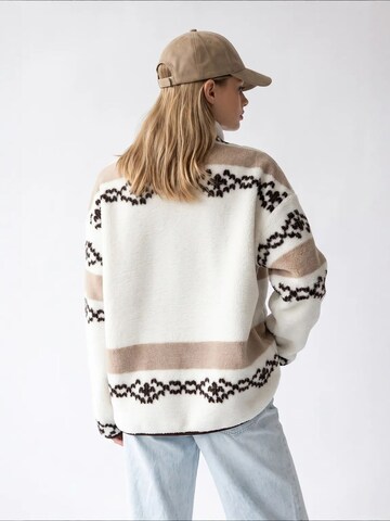 MixRaySweater majica 'Sweatshirts' - miks boja boja