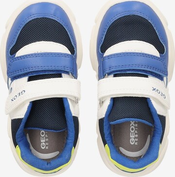 GEOX Sneaker in Blau