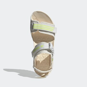 ADIDAS TERREX Sandals 'Cyprex Ultra II DLX' in Grey