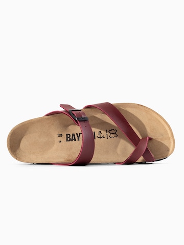 Bayton Muiltjes 'Andromac' in Rood