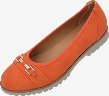 Palado Ballerina 'Palado Thareus' in Orange: Vorderseite