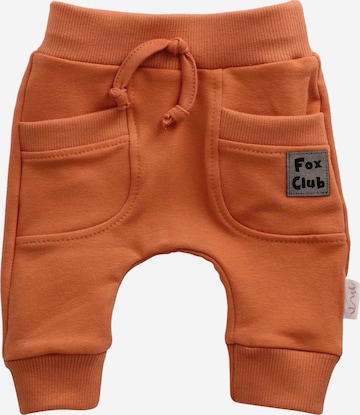 Bamar Nicol Pants 'Fox' in Brown: front