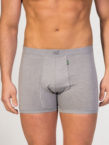 zd ZERO DEFECTS Boxershorts 'Helios fly front boxer' in Grau: Vorderseite