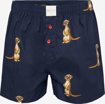 Phil & Co. Berlin Boxershorts' Prints ' in Mischfarben