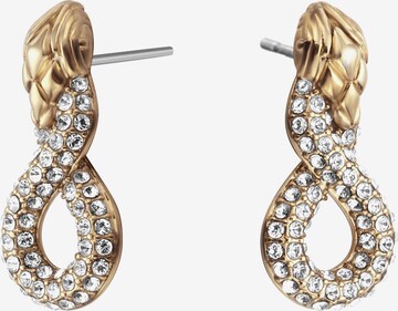 Just Cavalli Earrings in Gold: front