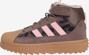 ADIDAS ORIGINALS Tennarit 'SUPERSTAR' värissä ruskea: etupuoli