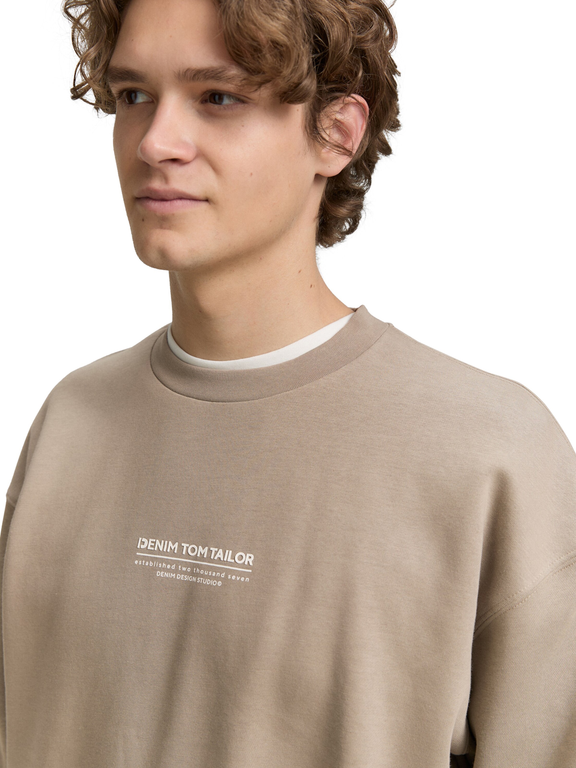 TOM TAILOR DENIM Sweatshirt in Brown