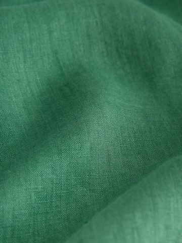 Next Regular Fit Hemd in Grün