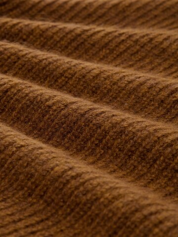 TOM TAILOR DENIM Trui in Bruin