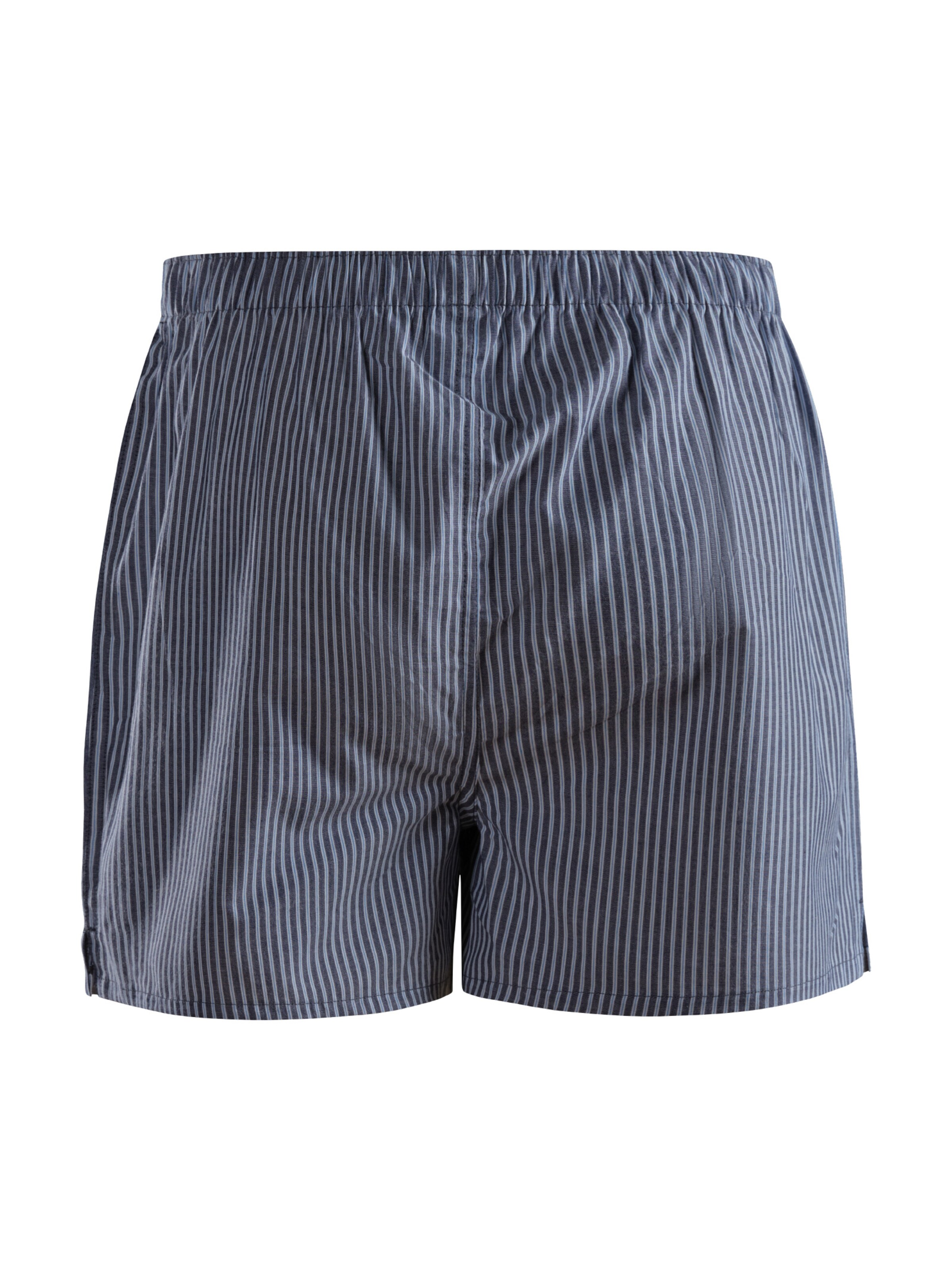 DANISH ENDURANCE Boxer shorts in Blue