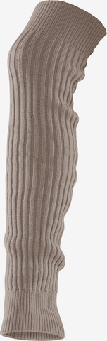 LAVANA Over the Knee Socks in Beige