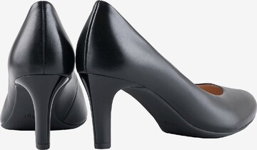 Högl Pumps 'Studio 60' in Black