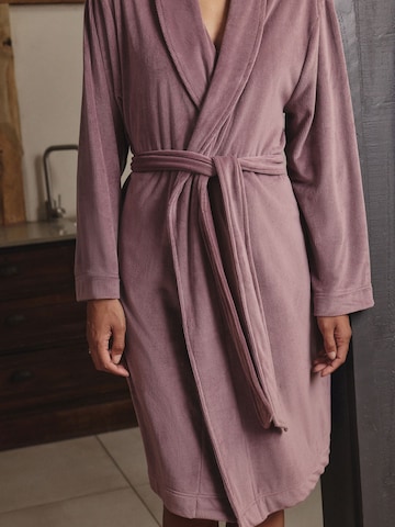 Next Dlhý župan - Fialová