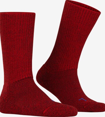 FALKE Socks 'Walkie Ergo' in Red: front