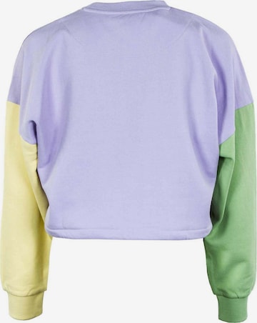 Karl Kani Sweatshirt in Purple
