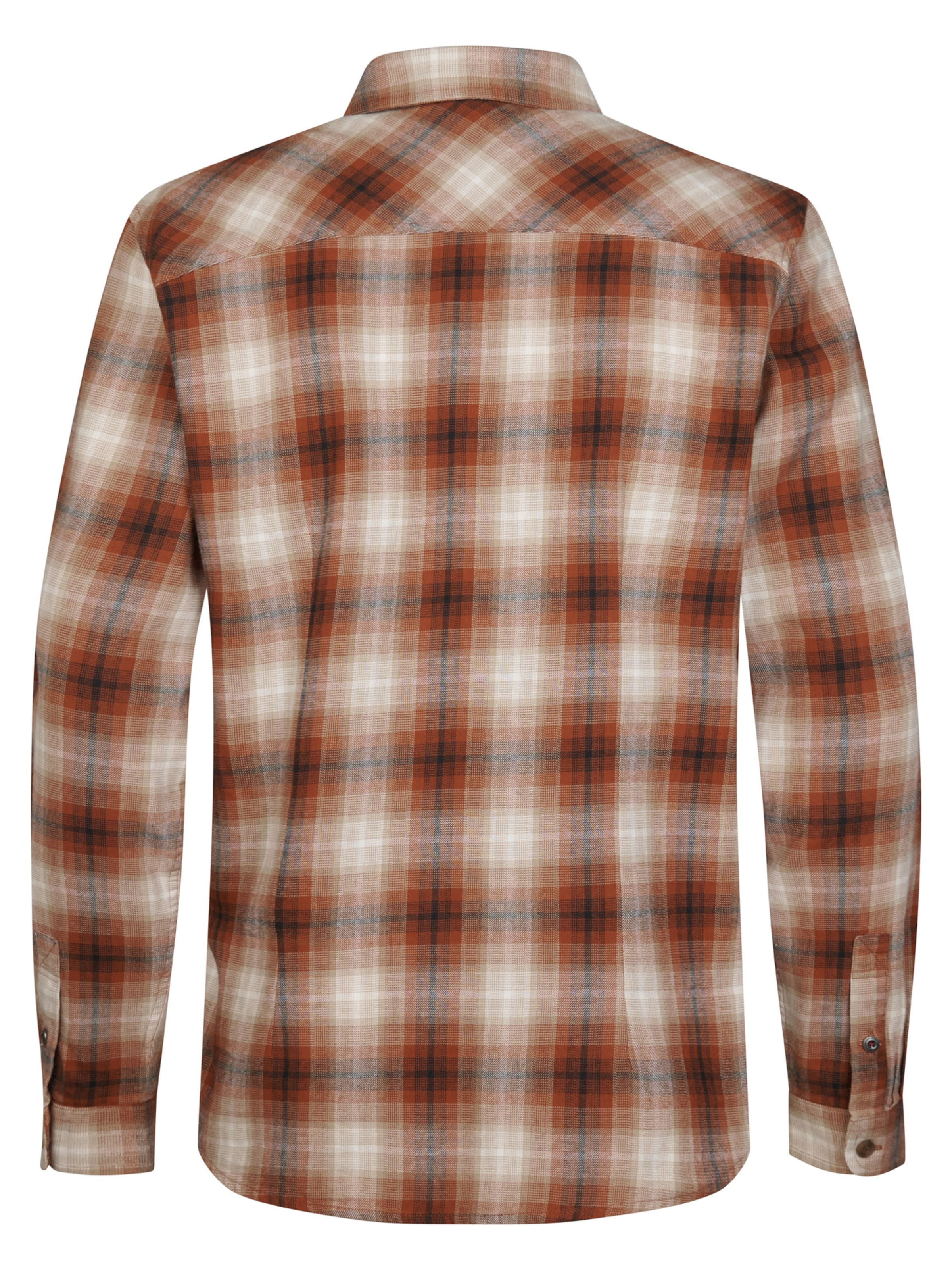 Petrol Industries Regular fit Button Up Shirt in Mixed colors