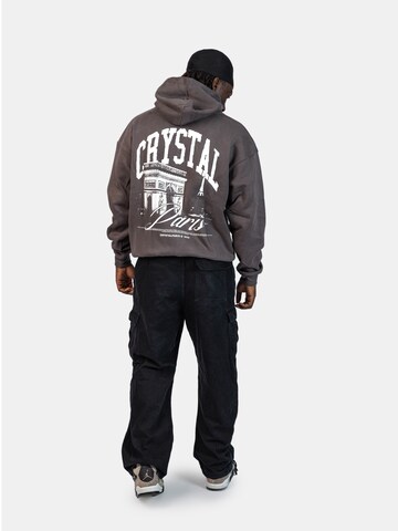 Crystal Paris Sweatshirt 'Arc' in Grijs