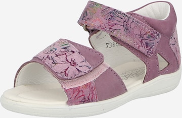 Pepino Sandals 'Minni' in Purple: front